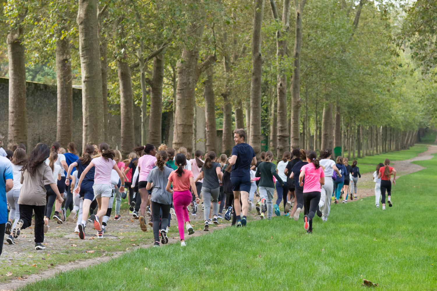 Cross du collège