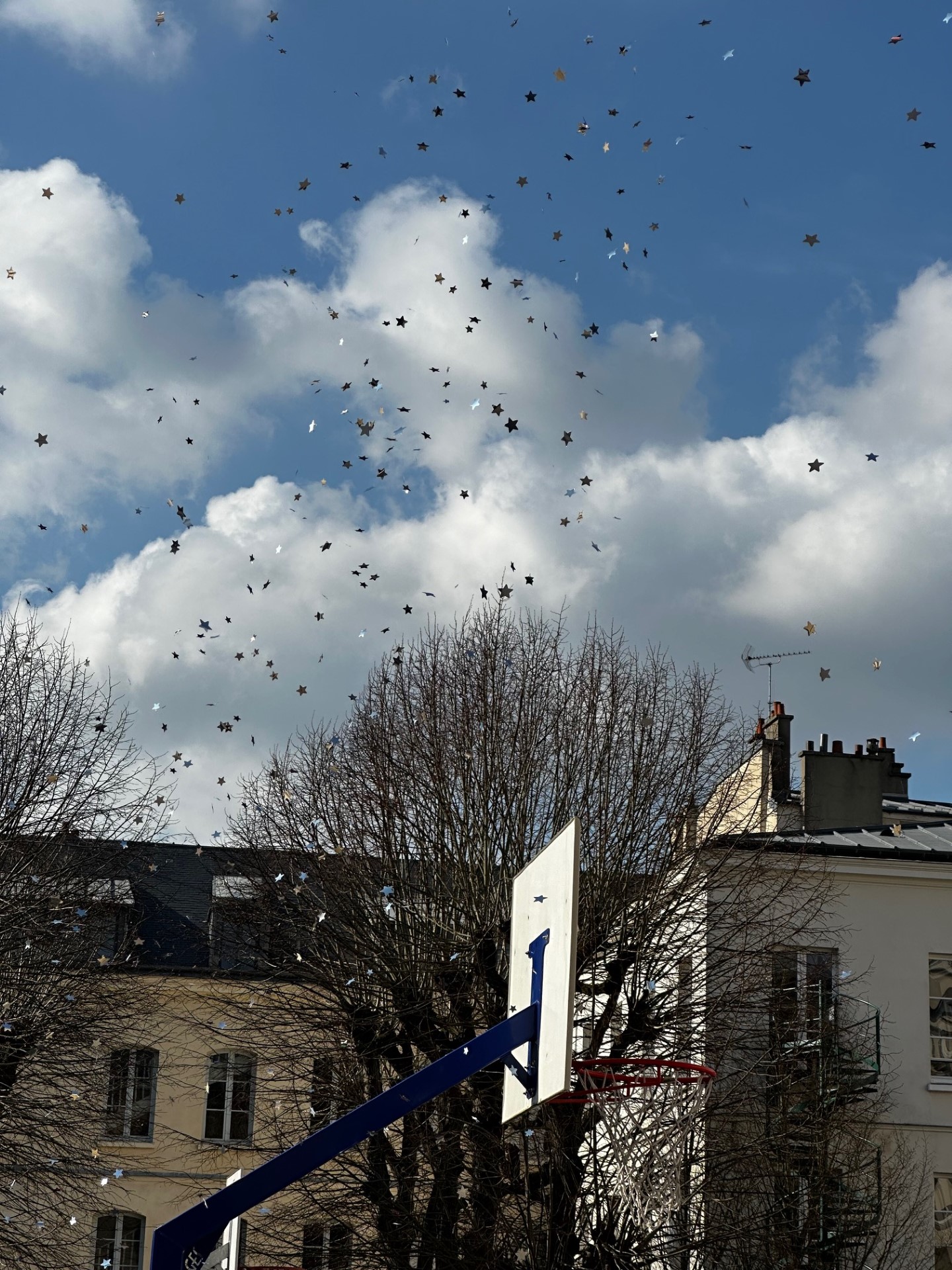 Carnaval de la Mi-Carême